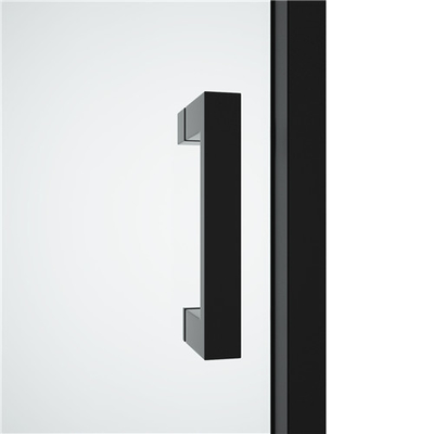 черный нержавеющий сползая 6mm закаленный стеклянный ливень Door1200X1950mm